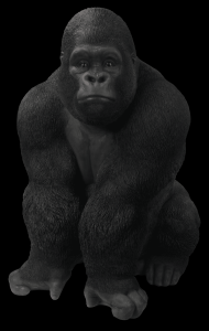gorila-009