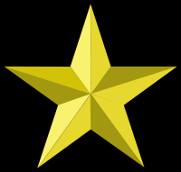 estrela-amarela-010