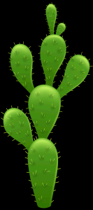 cactus-003