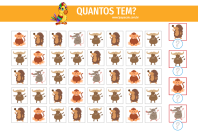 1papacaio-quantos-tem-05