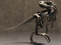 dinossauro_esqueleto_1600