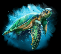 tartaruga-marinha-004