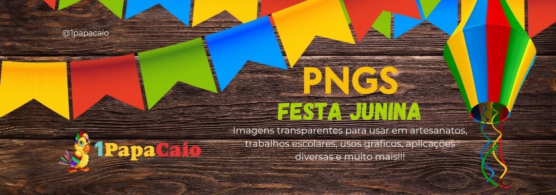PNGS Festa Junina